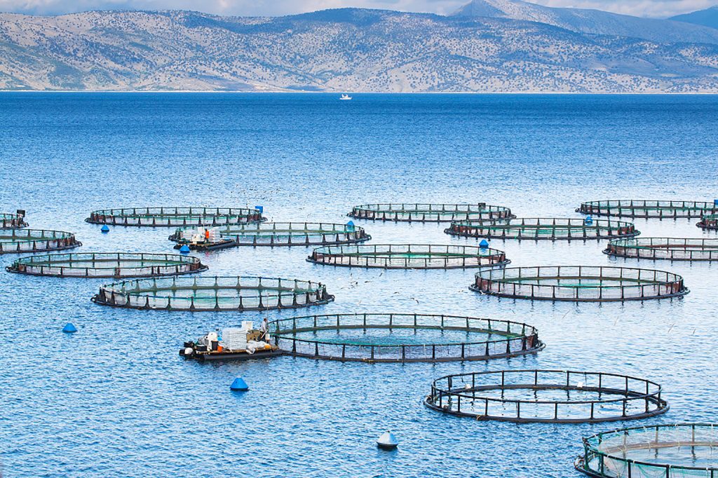 Lemond Aquaculture Cummins παραγωγή εφεδρικής ισχύος.